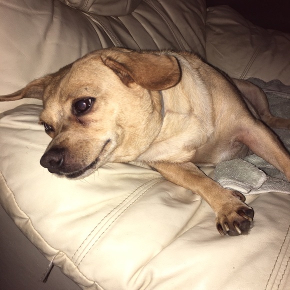 Meet your Posher, Jennifer - Picture 7 of 9